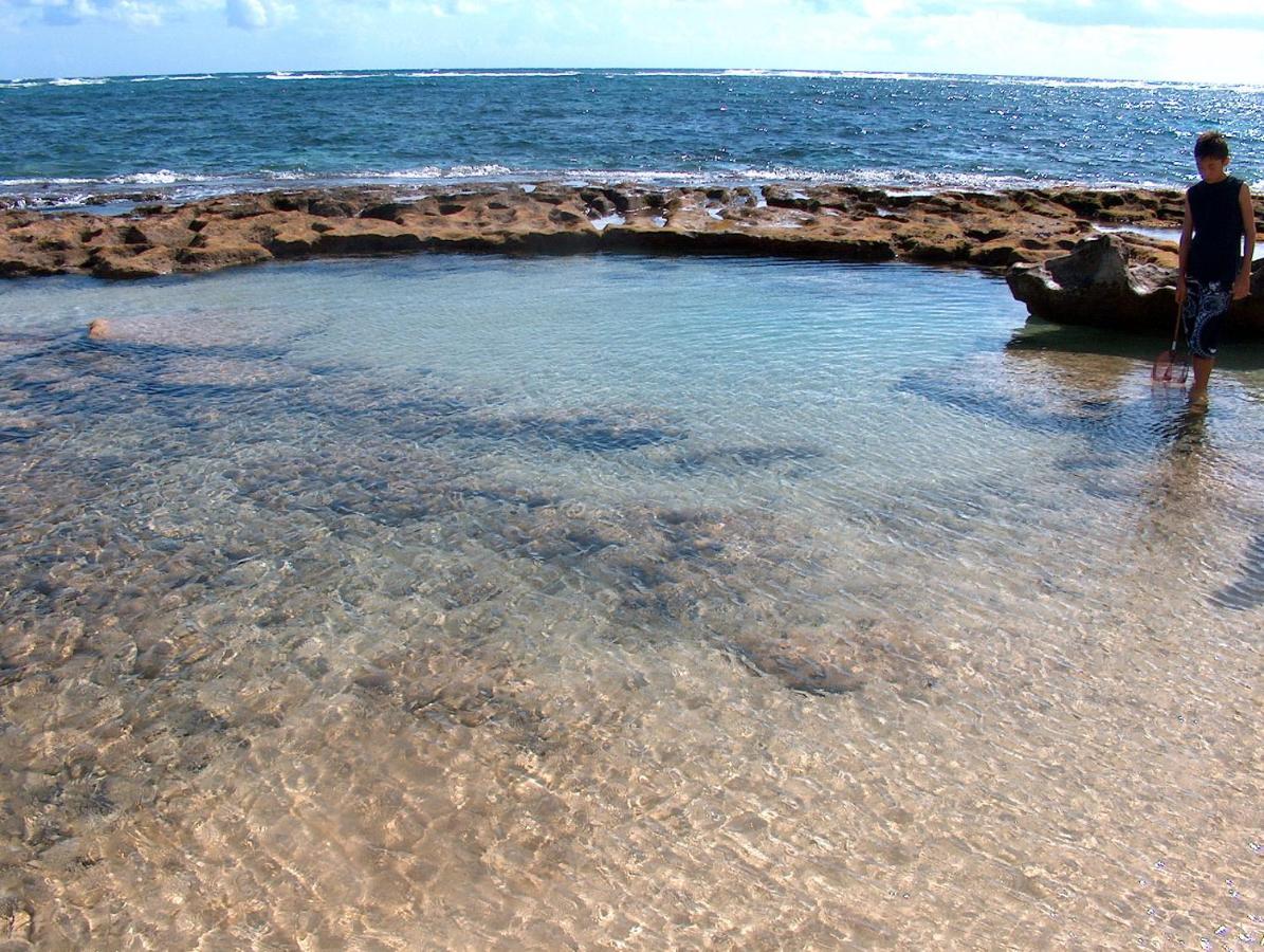 Itʻs All About The Beach Villa Hau'ula Kültér fotó